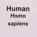 So That's What Homo Sapiens Are_Small