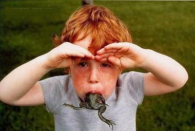 What, You Told Me To Take My Hands Off The Frog