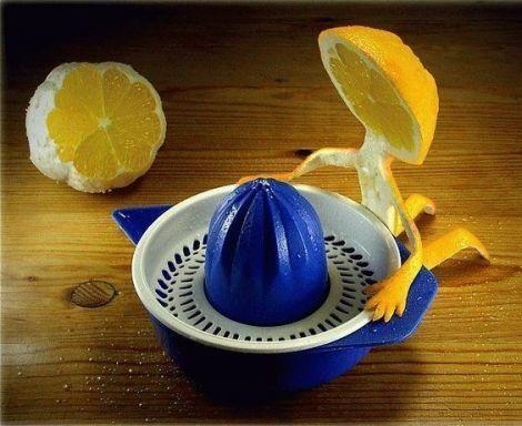 Lemon Suicide