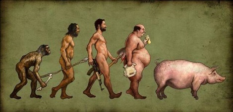 modern-evolution