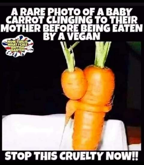 Damn Vegans!