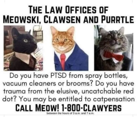 The Humans Have Lawyers, Why Shouldn't You