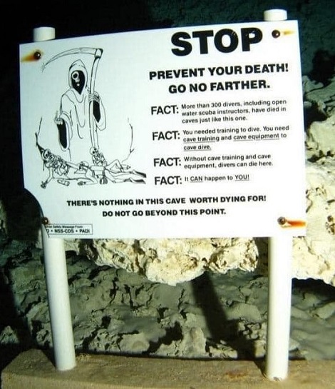 Oh, Please, I Watched A Video On YouTube, I'm An Expert