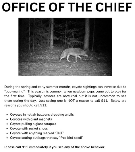 Call And Run Like Hell!