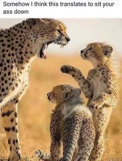 That Would Be My Guess