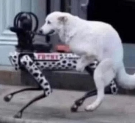 You Had To Know That Was Going To Happen Sooner Or Later