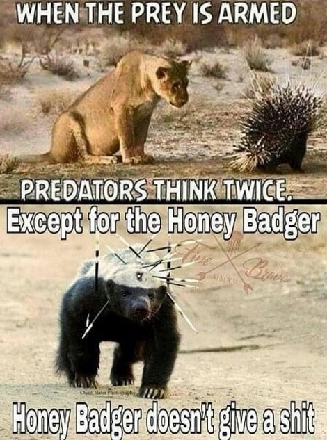 And You Thought Those Big Kitties Were Bad Asses