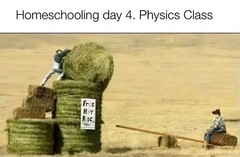 Well How Did You Think They Were Going To Teach It