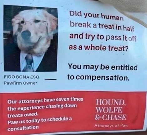 Don't You Hate It When Humans Do That