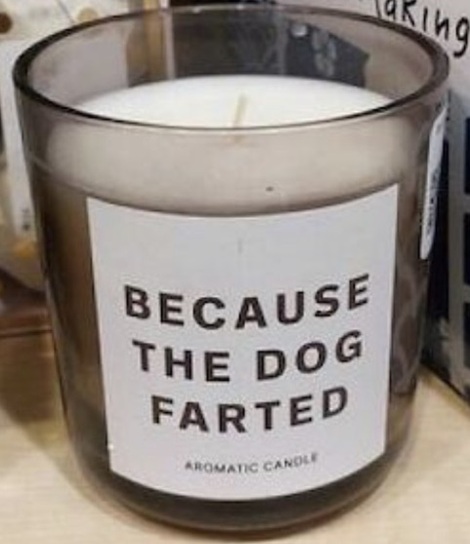 THAT'S THE ONE I NEED! . . . BECAUSE OF THE . . . DOG . . . RIGHT